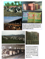 1600133269156549.png image.png