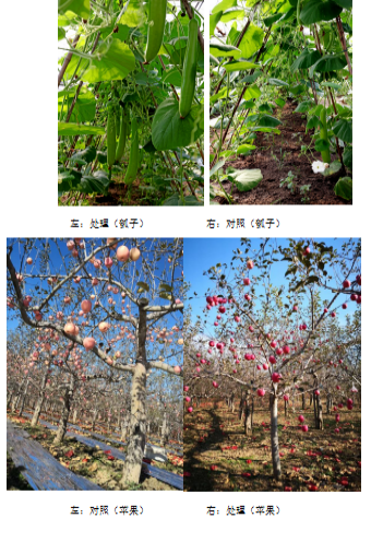 1600150258686830.png image.png